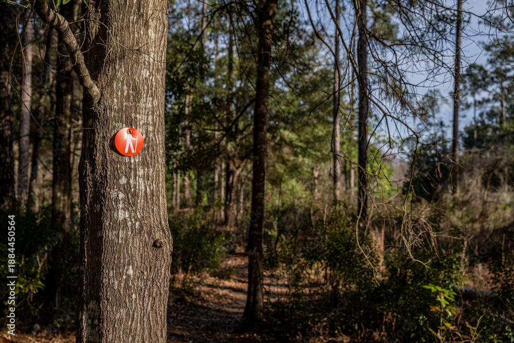 Obraz premium hiking trail in nature