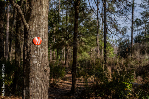 hiking trail in nature