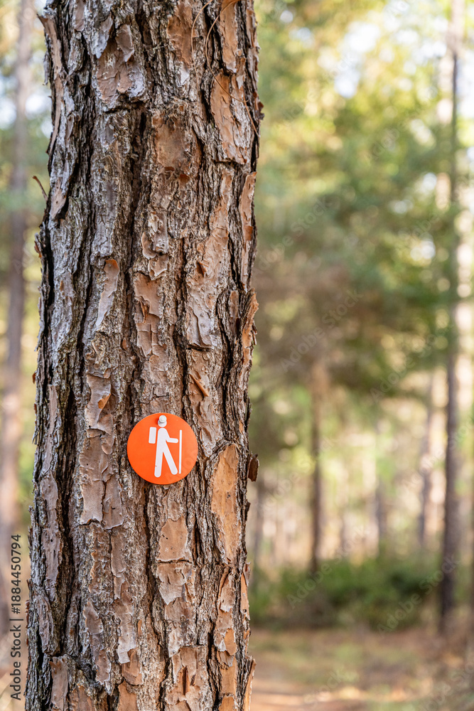 Naklejka premium hiking trail