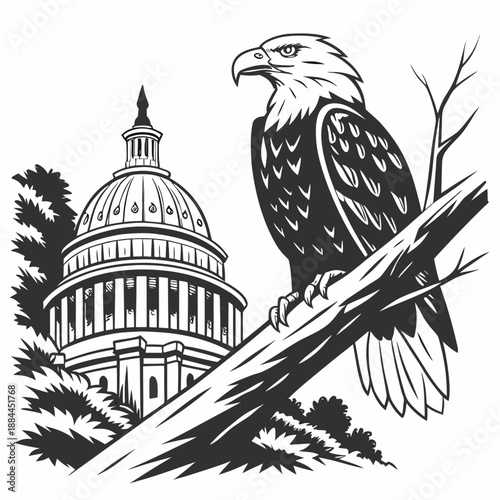 american eagle silhouette