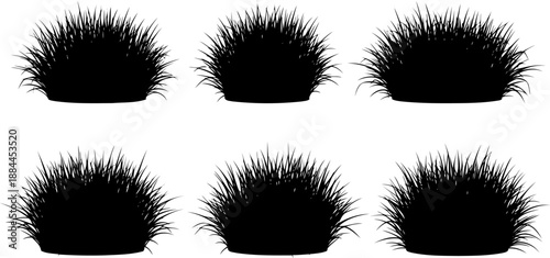 Collection of six grass tuft silhouettes vector