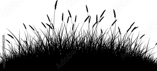Curved mound of wild grass with seed stalks silhouette vector