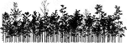 Dense forest treeline with various deciduous and evergreen trees silhouette vector