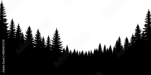 Dense pine forest treeline with coniferous evergreen trees silhouette vector