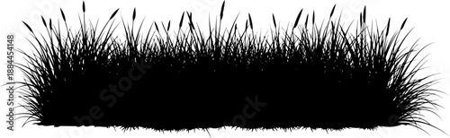 Horizontal border of dense field grass silhouette vector