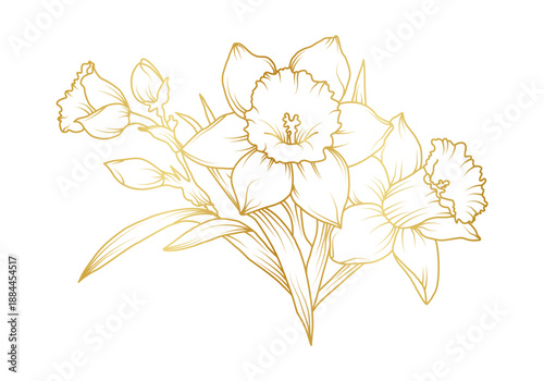 Narcissus lily flowers line art isolated on white background. Luxury daffodil floral golden design elements for invitation, wedding, wallpaper, print template, vector illustration