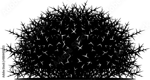 Thorny desert bush silhouette with sharp spikes vector
