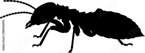 Crawling termite silhouette side view insect pest vector illustration