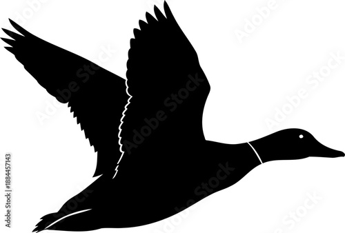 Flying duck silhouette side view wings spread waterfowl vector