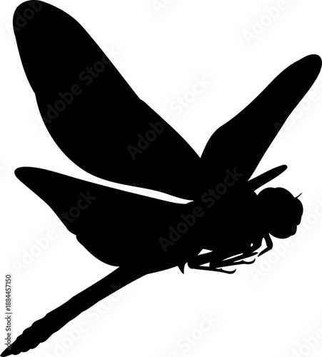 Flying dragonfly silhouette side view insect in motion vector graphic