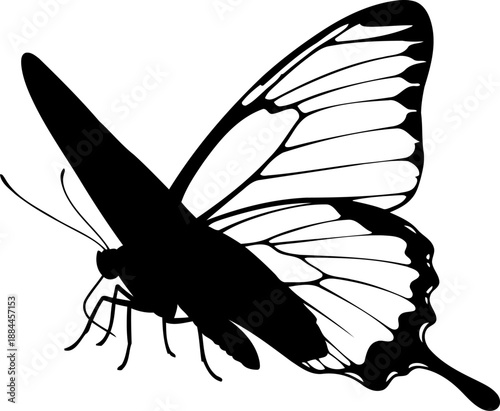 Flying butterfly silhouette side view insect vector graphic
