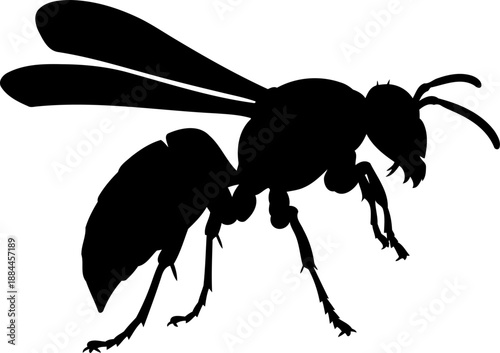 Flying wasp silhouette side view stinging insect vector graphic