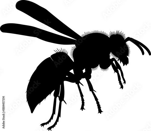Flying wasp silhouette side view stinging insect hornet vector graphic