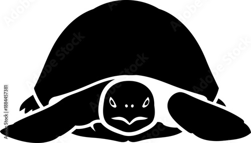 Frontal view tortoise silhouette standing slow reptile vector graphic