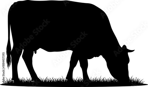 Grazing cow silhouette side view livestock vector graphic