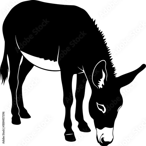 Grazing donkey silhouette side view farm animal vector illustration