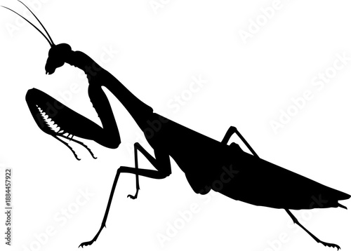 Praying mantis silhouette side view predatory insect vector graphic