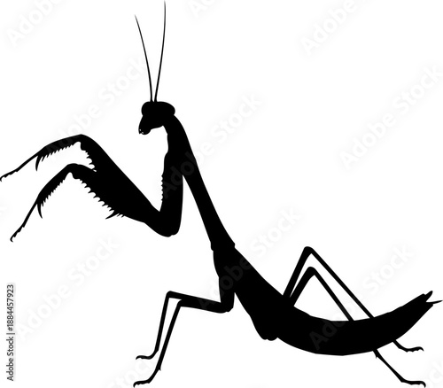 Praying mantis profile silhouette predatory insect vector illustration