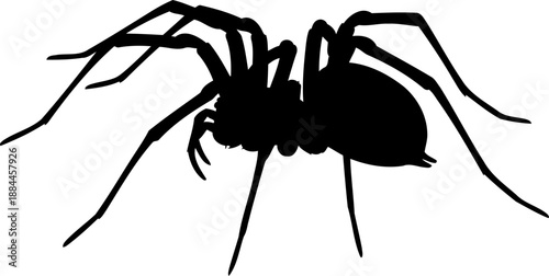 Predatory spider silhouette side view crawling arachnid vector illustration
