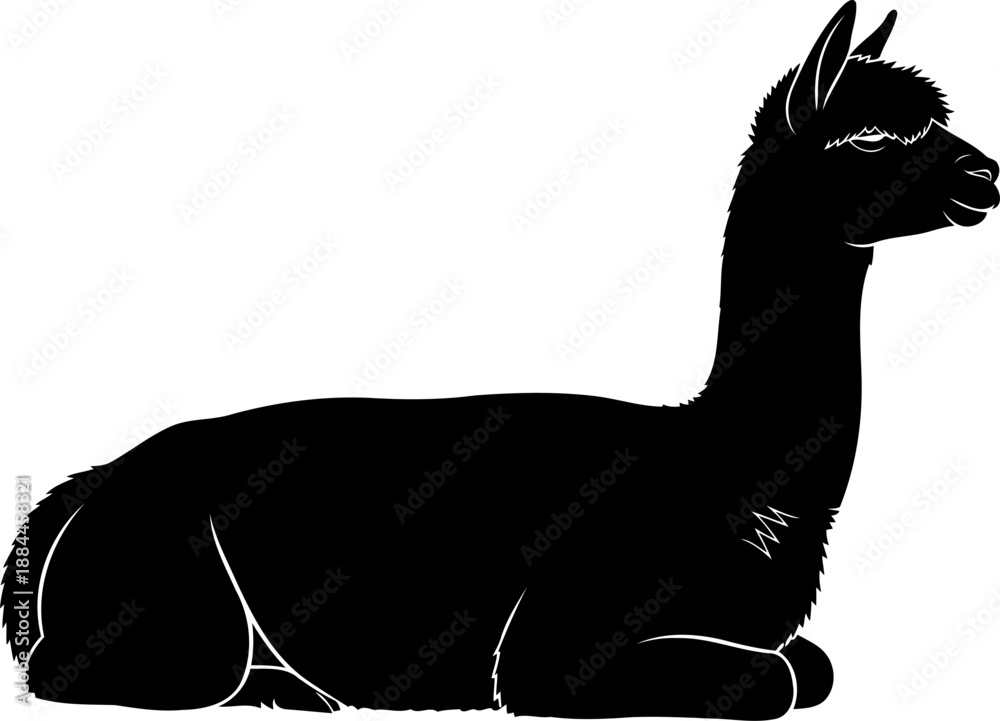 Fototapeta premium Sitting alpaca silhouette side view farm animal vector illustration