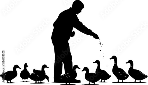 Silhouette of man feeding a group of ducks vector illustration