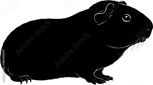 Side view guinea pig silhouette rodent pet animal vector illustration