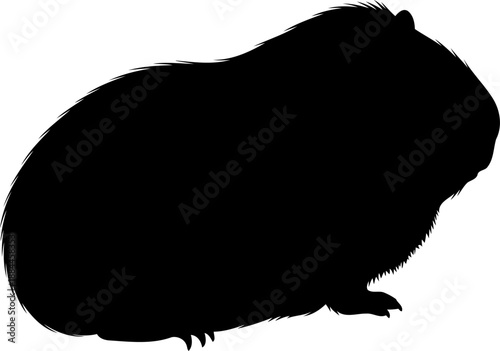 Small guinea pig silhouette side view cavy rodent pet vector