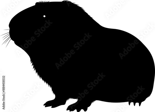 Standing guinea pig silhouette side view rodent vector illustration