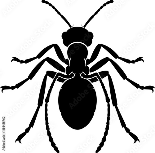 Top view ant silhouette crawling garden insect vector graphic
