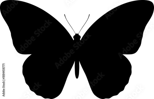 Symmetrical butterfly silhouette top view insect vector illustration
