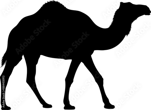 Walking camel silhouette side view desert mammal vector graphic