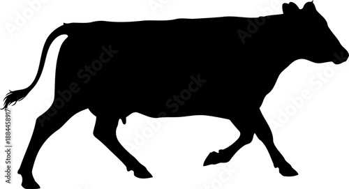 Walking domestic cow silhouette side view farm livestock vector