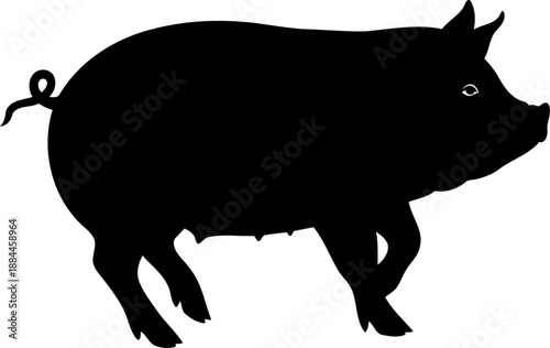 Walking pig silhouette side view farm animal vector illustration