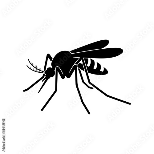 Black mosquito insect silhouette isolated on white background