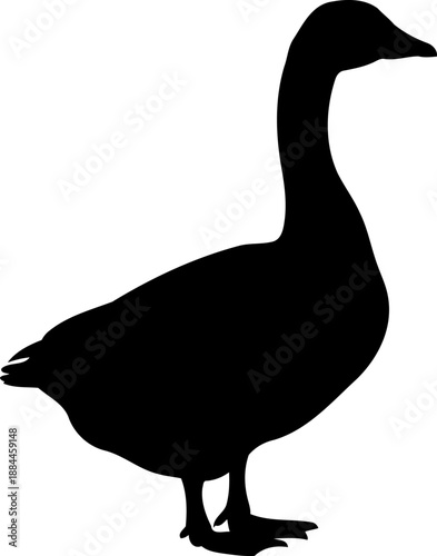 Aquatic goose silhouette side view waterfowl bird vector graphic