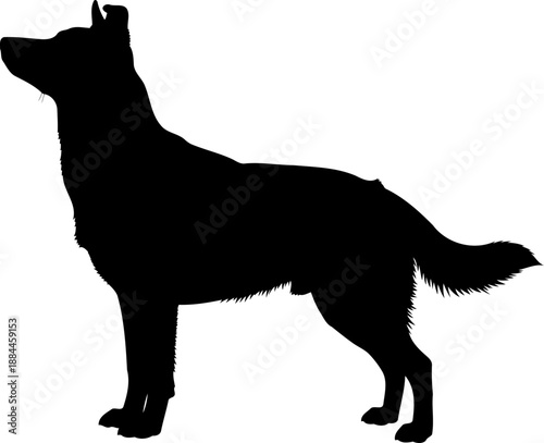 Alert dog silhouette side view standing domestic pet vector graphic