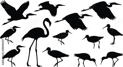 Wading bird silhouettes collection featuring flamingo, crane, heron, and stork in flying and standing poses, black wildlife vector illustration isolated on white background