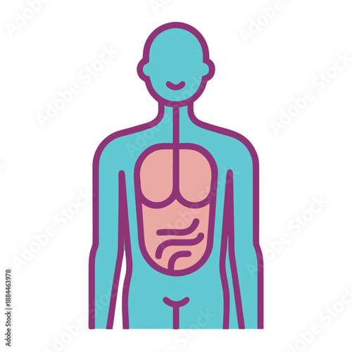 anatomy of human body