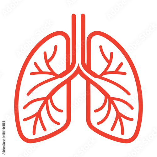 vector illustration of a human heart