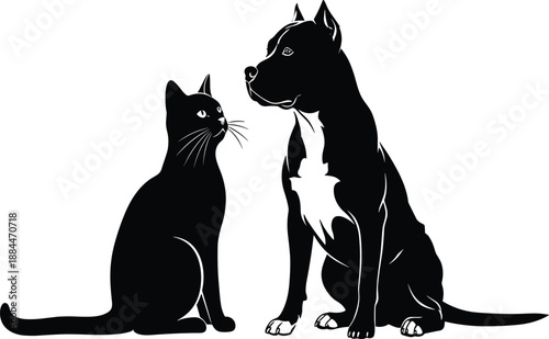 cat dog, pet silhouette, pit bull, black white, animal friendship, sitting together, domestic animals, kitten puppy, pet shop, veterinary clinic, animal lover