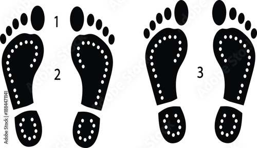 foot care, pressure points, medical illustration, health concept, human anatomy, massage therapy, podiatry clinic, foot silhouette, wellness center