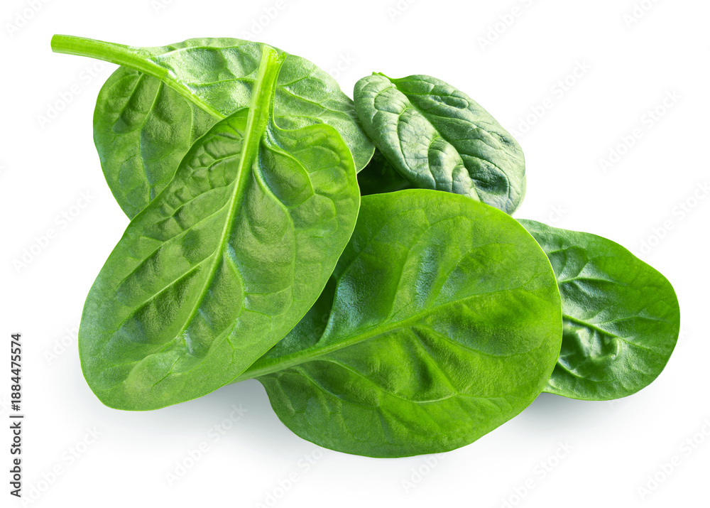 Fototapeta premium Spinach isolated. Fresh Spinach leaf on white background. Baby Espinach leaves as food salad ingredient. Package design element. HighQuality image
