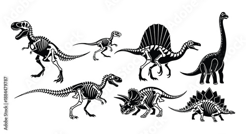 Illustrative collection of dinosaur skeletons showcasing diverse prehistoric reptile anatomy