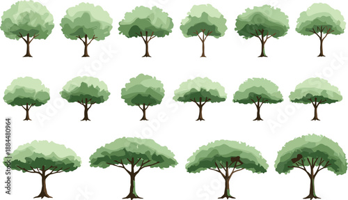 Green tree collection with different shapes and sizes, natural forest elements flat vector illustration set