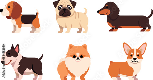 Cute dog vector set with beagle pug dachshund bull terrier pomeranian corgi flat cartoon pet illustration collection