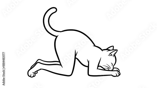 Black and White Cat Stretching Downward.