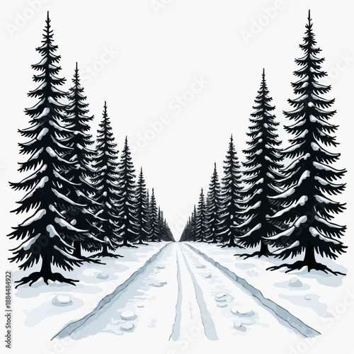 Snowy road lined with evergreen trees in winter landscape  