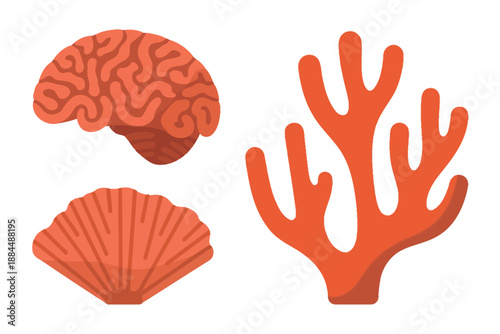 Coral, brain, and scallop illustrations in orange hues on white background