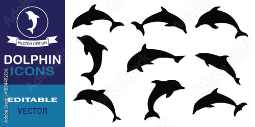 Dolphin silhouette vector set on white background. Jumping, swimming dolphin clipart, ocean wildlife graphic, marine animal motion sequence. Vector illustration.