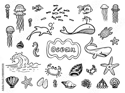 Ocean animals set. Hand drawn doodle vector. Aquatic fish. Whale dolphin jellyfish turtle crab seahorse starfish shells. Underwater inhabitants. Marine. Illustration line art elements.